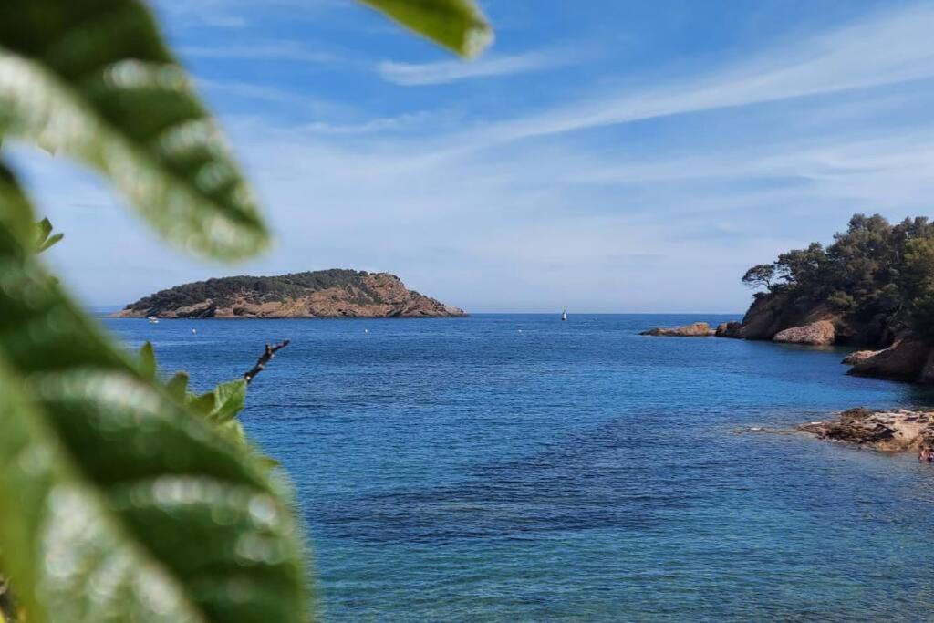 Sea View Climatise Terrasse Vue Mer Parking By Laconciergerie13 Ла-Сьйота Екстер'єр фото